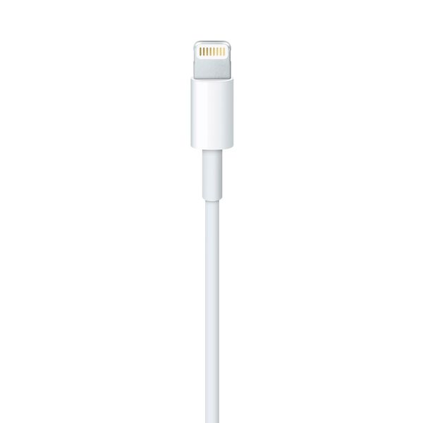 Apple Lightning to USB Cable 2m MD819 1221        фото