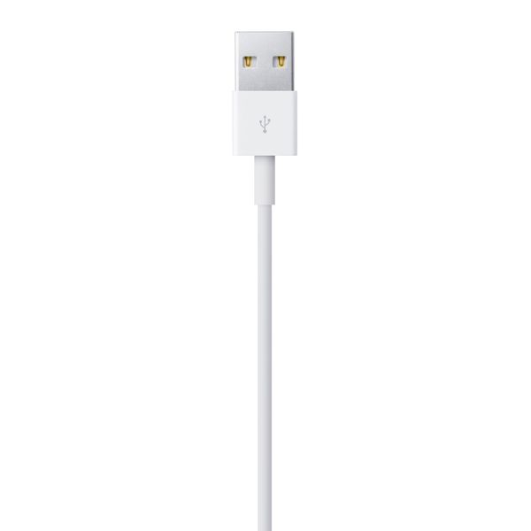 Apple Lightning to USB Cable 2m MD819 1221        фото