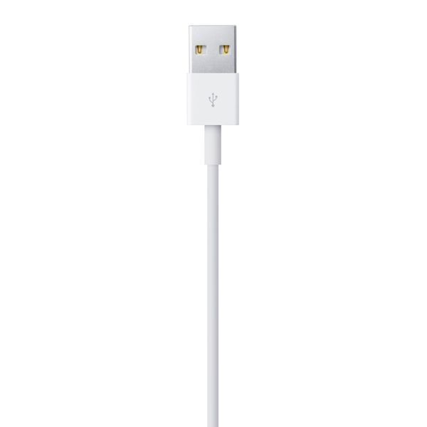 Apple Lightning to USB Cable 2m MD819 1221        фото
