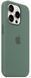 Чохол Apple iPhone 15 Pro Silicone Case HC (Cypress) 3665        фото 2