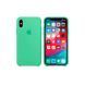 Чохол Apple iPhone X/Xs Silicone Case HC (Spearmint) 1596        фото 3