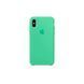 Чохол Apple iPhone X/Xs Silicone Case HC (Spearmint) 1596        фото 1