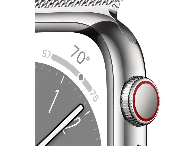 Apple Watch 8 41mm (GPS+LTE) Silver Stainless Steel Case with Milanese Loop Silver (MNJ73/MNJ83) MNJ73/MNJ83 фото