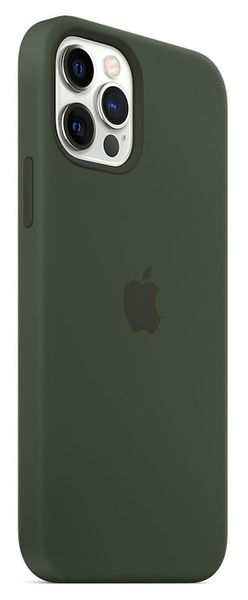 Чохол Apple iPhone 12 Pro Max Silicone Case HC (Cyprus Green) 1430        фото