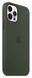 Чохол Apple iPhone 12 Pro Max Silicone Case HC (Cyprus Green) 1430        фото 2