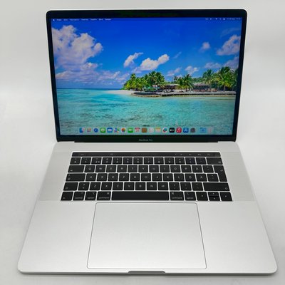 MacBook Pro 15" 2018 i7 16gb RAM 256gb SSD Silver б/у (8JG5L) 8JG5L фото