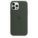 Чохол Apple iPhone 12 Pro Max Silicone Case HC (Cyprus Green) 1430        фото 1