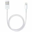 Apple Lightning to USB Cable 1m HC MD818