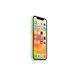 Чохол Apple iPhone 12 Pro Max Silicone Case HC (Pistachio) 1431        фото 4