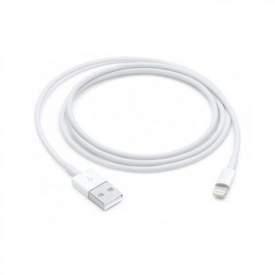 Apple Lightning to USB Cable 1m MD818 1132        фото