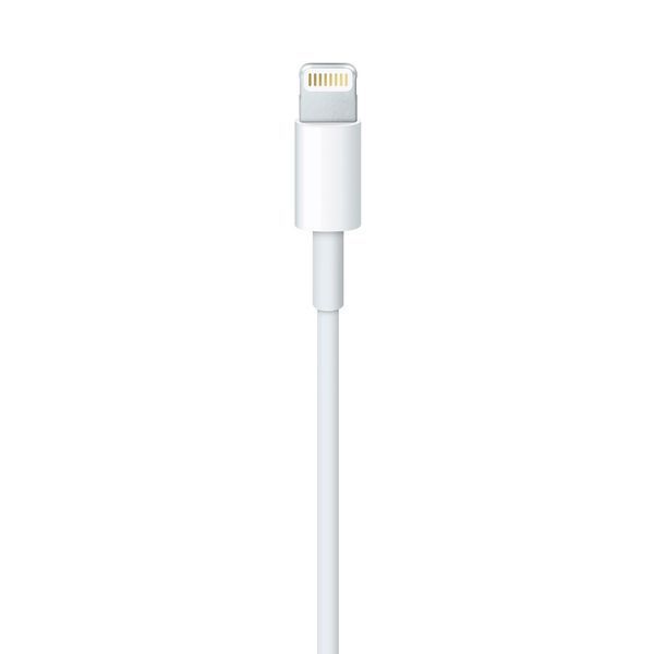 Apple Lightning to USB Cable 1m MD818 1132        фото