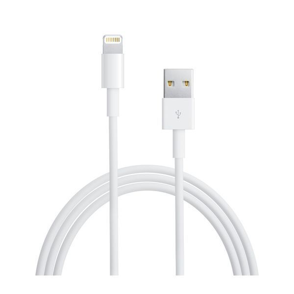 Apple Lightning to USB Cable 1m MD818 1132        фото