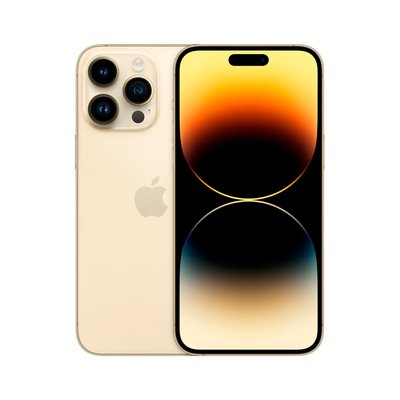Apple iPhone 14 Pro Max 1TB Gold (MQC43) MQC43 фото