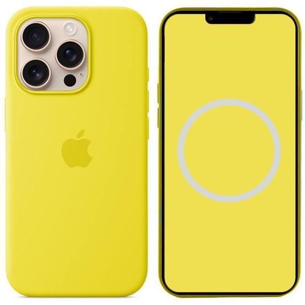 Чохол Apple iPhone 16 Pro Max Silicone Case HC (Star Fruit) 4642        фото