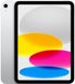 Apple iPad 10th Gen 10.9" Wi-Fi+Cellular 256GB Silver 2022 (MQ6T3) 3162        фото 1