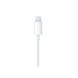 Навушники Apple EarPods with Lightning Connector 1200        фото 4