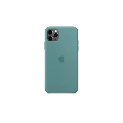 Чохол Apple iPhone 11 Pro Max Silicone Case HC (Cactus) 1370        фото