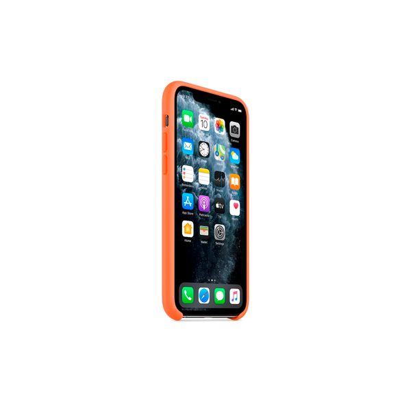 Чохол Apple iPhone 11 Pro Max Silicone Case HC (Vitamine C) 1379        фото