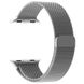 Apple Watch Series 7 GPS + LTE 45mm Silver Stainless Steel Case with Silver Milanese Loop (MKJE3) MKJE3, MKJW3 фото 4